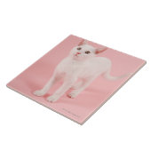 Junge weiße Katze 2 Fliese (Seite)