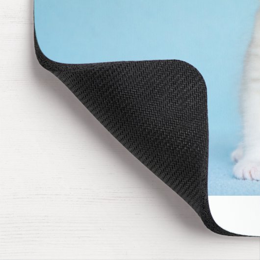 Junge weiße Katze sitzt auf blauem Hintergrund Mousepad (Ecke)