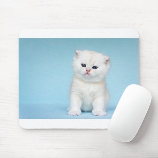Junge weiße Katze sitzt auf blauem Hintergrund Mousepad (Mit Mouse)