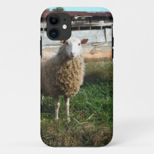 Junge weiße Schafe auf dem Bauernhof Case-Mate iPhone Hülle