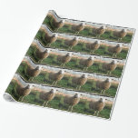 Junge weiße Schafe auf dem Bauernhof Geschenkpapier<br><div class="desc">Young White Sheep on Farm Foto von Sandy Closs "farm animal",  baby,  "baby dusche" Lamm,  "mommy schafe""white shadow", " lamb mutter"country "rustic wedding""lamb geschenke"shepherd,  Weihnachtscreme</div>