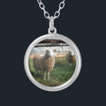 Junge weiße Schafe auf dem Bauernhof Versilberte Kette<br><div class="desc">Young White Sheep on Farm Foto von Sandy Closs "farm animal",  baby,  "baby dusche" Lamm,  "mommy schafe""white shadow", " lamb mutter"country "rustic wedding""lamb geschenke"shepherd,  Weihnachtscreme</div>