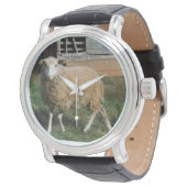 Junge Weiße Schafe auf dem Foto von Sandy Closs Armbanduhr (Schrägansicht)
