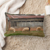 Junge Weiße Schafe auf dem Foto von Sandy Closs Lendenkissen (Decke)