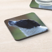 junge Welpe Border-Collie Untersetzer (Linke Seite)