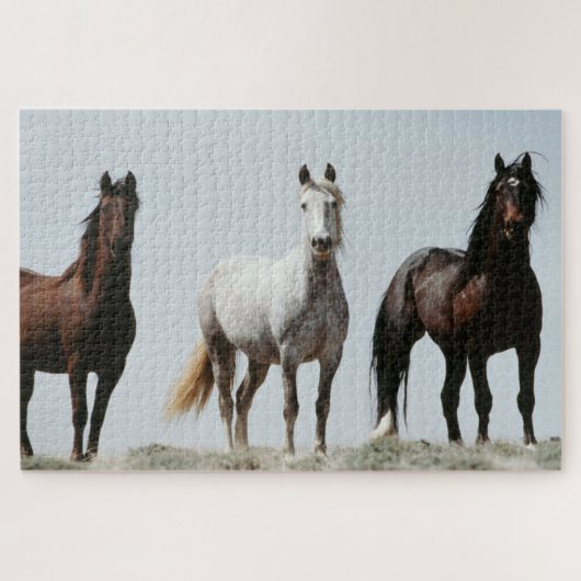 Junge wilde Hengste Puzzle (Horizontal)