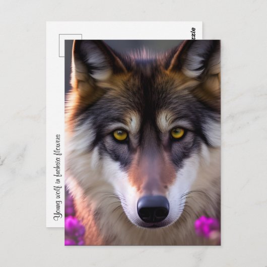 Junge Wolfe in fuchsienrosa Blume Postkarte (Vorne/Hinten)