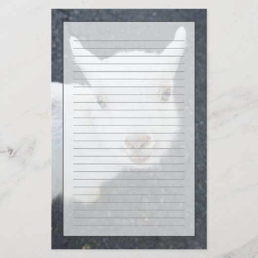 Junge Ziege Briefpapier (Vorderseite)