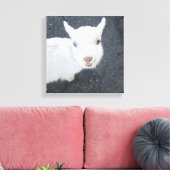 Junge Ziege Leinwanddruck (Insitu (Wohnzimmer))