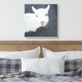 Junge Ziege Leinwanddruck (Insitu (Schlafzimmer))