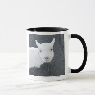 Junge Ziege Tasse