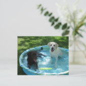 Jungen der Sommerpostkarte Postkarte (Stehend Vorderseite)