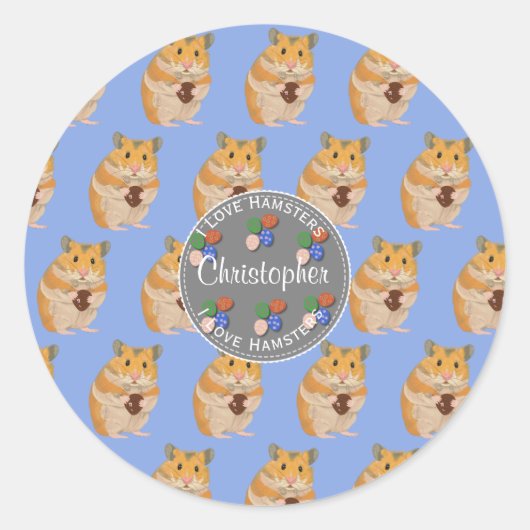 Jungen I Liebe Hamsters Ostermuster Runder Aufkleber (Vorderseite)