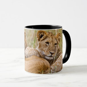 Jungen Löwen beim Ausruhen Tasse