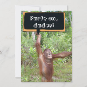 Jungen Nacht Aus Einladung