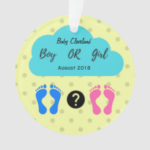 Jungen-oder Mädchen-Baby-Mitteilungs-Verzierung Ornament