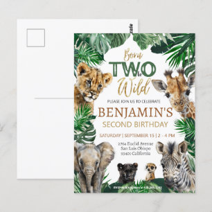 Jungen Safari Zwei Wilde Geburtstagsfeier Postkarte