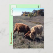 Jungen sind Jungen... Postkarte (Vorne/Hinten)