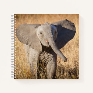 Junger Afrikanischer Elefant Notizblock