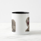 Junger afrikanischer Pinguin - Spheniscus Tasse (Zentrum)