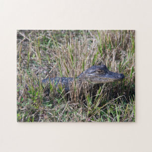 Junger Alligator im Sumpfgras Wildlife Natur Puzzle