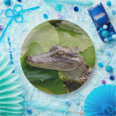Junger Alligator Pappteller (Party)