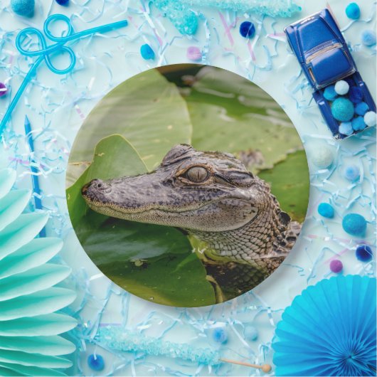 Junger Alligator Pappteller (Party)