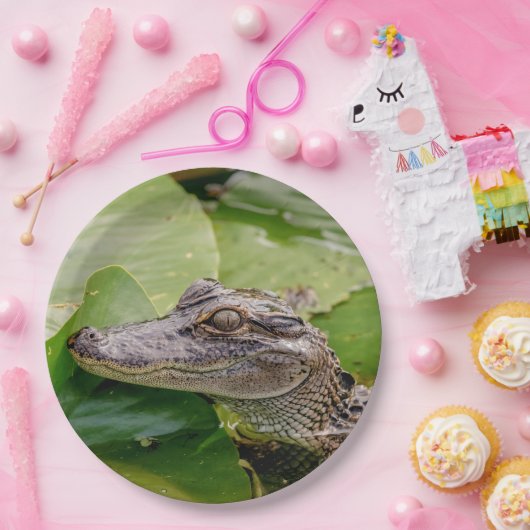 Junger Alligator Pappteller (Party)