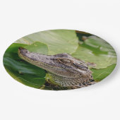 Junger Alligator Pappteller (Schrägansicht)