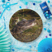 Junger Alligator Pappteller (Party)