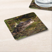 Junger Alligator Rechteckiger Pappuntersetzer (angewinkelt)