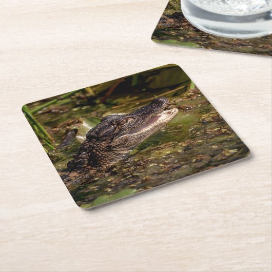 Junger Alligator Rechteckiger Pappuntersetzer (angewinkelt)