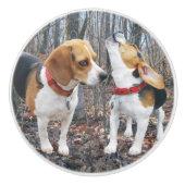 Junger Beagle-WaldKeramik-Griff Keramikknauf (Vorderseite)