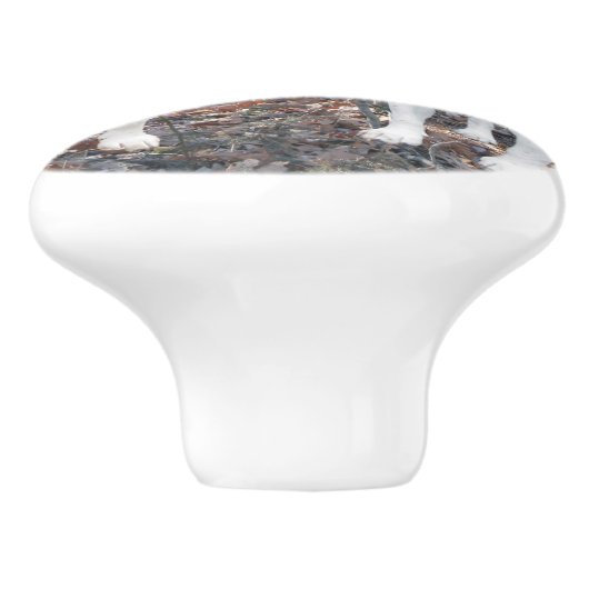 Junger Beagle-WaldKeramik-Griff Keramikknauf (Seitenansicht)