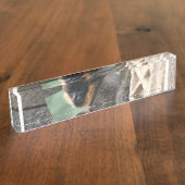 Junger Capuchin-Affe Namensplakette (Seite)