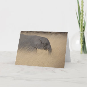 JUNGER ELEFANT IN HOCHEM GELBEN GRAS KARTE