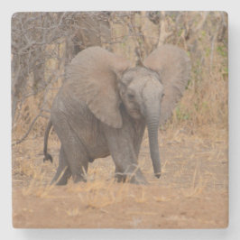 Junger Elefant mit blühenden Ohren. Steinuntersetzer