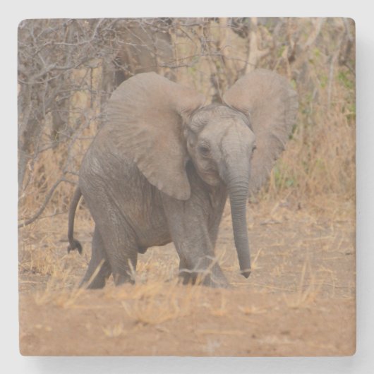 Junger Elefant mit blühenden Ohren. Steinuntersetzer (Vorderseite)