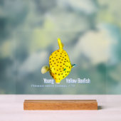 Junger Gelber Kofferfisch Acrylschild (Neutral)