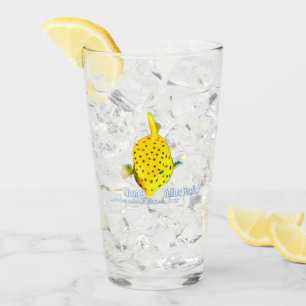 Junger Gelber Kofferfisch Glas