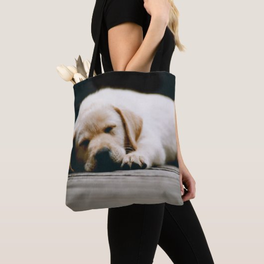Junger gelber Labrador-Welpe schläft solid Tasche (Von Nahem)