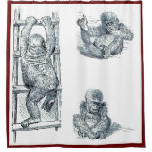 Junger Gorilla Dusche Vorhang Herumalbern (Vorderseite)