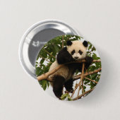 Junger großer Panda Button (Vorne & Hinten)