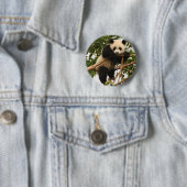 Junger großer Panda Button (Beispiel)