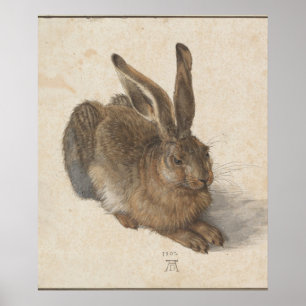 Junger Hase (Dürer 1502) Poster