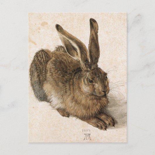'Junger Hase' Postkarte (Vorderseite)