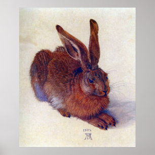 Junger Hase von Albrecht Durer, Renaissance-Fine-A Poster