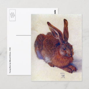 Junger Hase von Albrecht Durer, Renaissance-Fine-A Postkarte