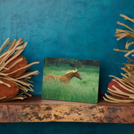 Junger Hengst läuft durch Wiese Fotoplatte (Seite)