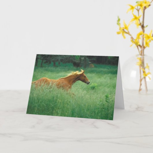 Junger Hengst läuft durch Wiese Karte (Gelbe Blume)